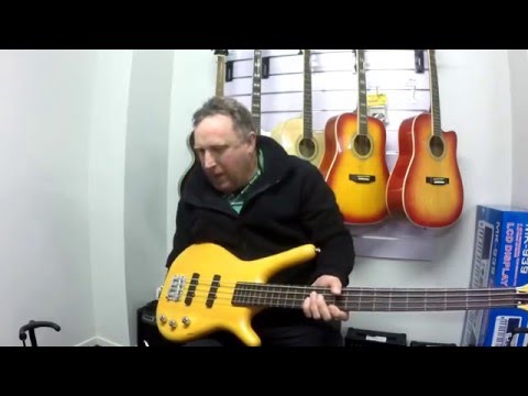 so-music-nz:-fret-less-electric-bass-guitar