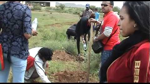 Ne Gereba Project - the greening of Eritrea (eritrea2010.com)