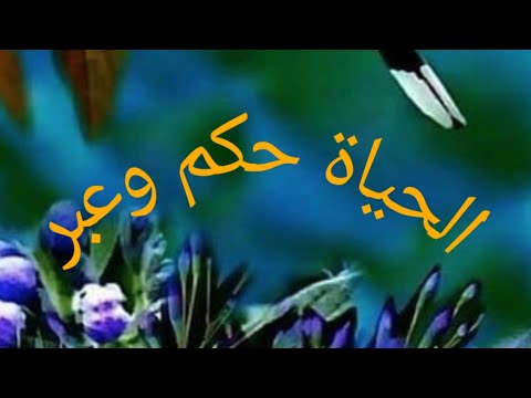 عبارات جميلة لن يفهمها الا أصحاب العقول الراقية عن الحياة