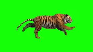 green screen lion video download,green screen effects backgrounds,green screen download,green screen