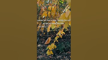 The Law of Reciprocity | Nurturing Relationships