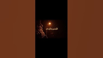 {إِنَّ الَّذِينَ يُؤْذُونَ اللَّهَ وَرَسُولَهُ لَعَنَهُمُ اللَّهُ} سورة الأحزاب #أنس_الميمان