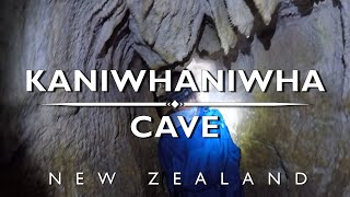Kaniwhaniwha Cave - New Zealand