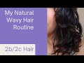 Wavy Hair Routine using Curlsmiths Air Dry Cream & Hydrogel