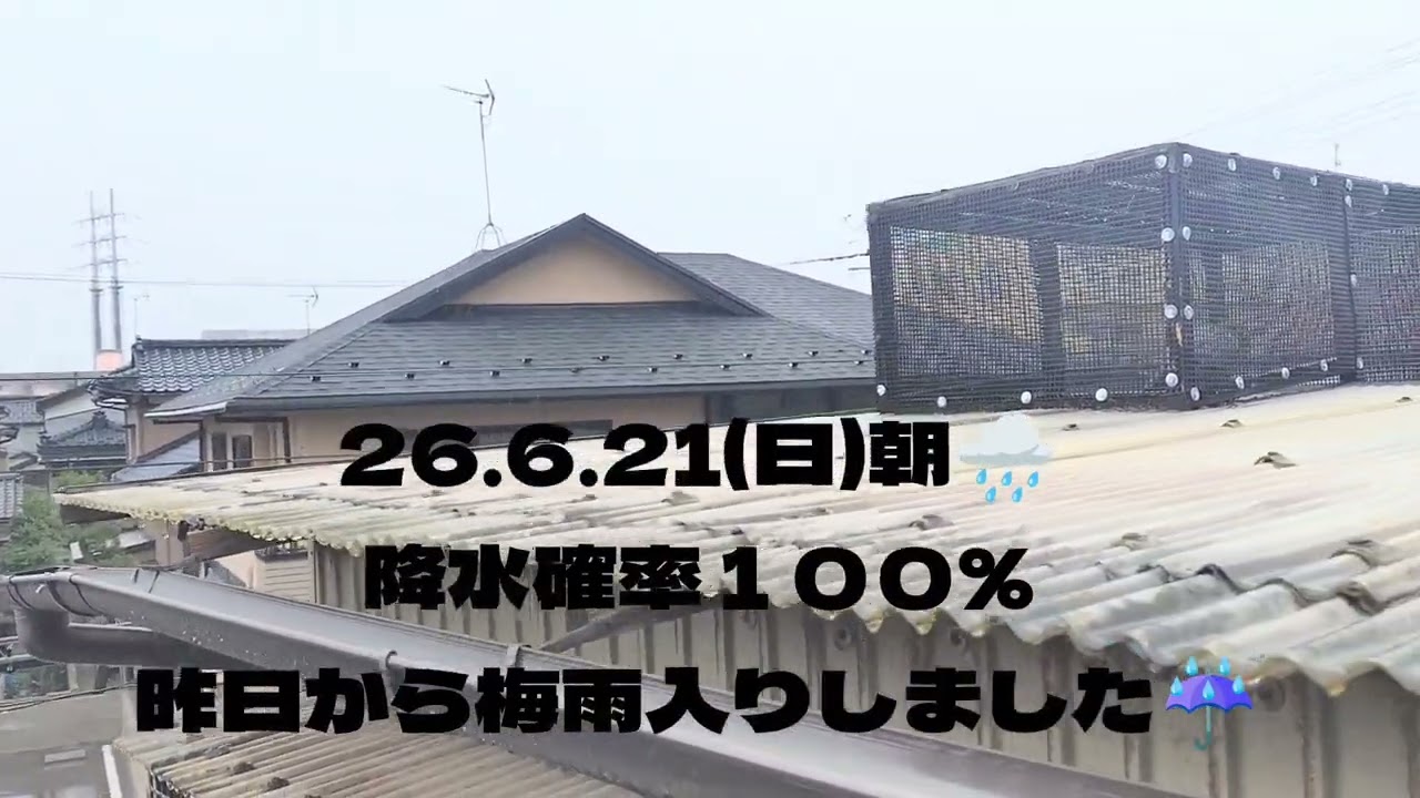 昨日から梅雨入りが発表されました☔ - YouTube