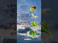 ထိုင်းမြန်မာစကားပြောသီးသန့်(ဟင်းသီးဟင်းရွက်အကြောင်းလေ့လာကြမယ်) #voiceeffects #myanmar #foryou #fyp
