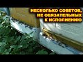 Несколько советов, не обязательных к исполнению.