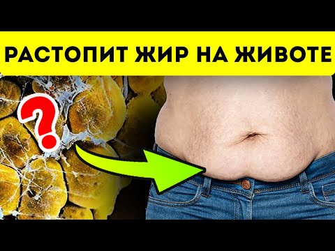 Вопрос: Как кушать эдамам?