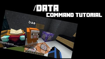 Data Command Tutorial {Java 1.15-1.16} {All Commands Series}