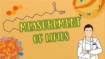 Was ist eine Lipid Untersuchung?