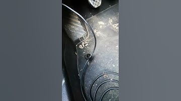 Vcds not working