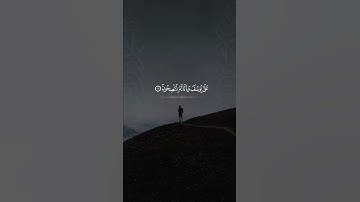 تلاوة في قمة الروعة للشيخ رعد الكردي 👌 .. تقليد الشيخ عبدالباسط عبدالصمد رحمه الله