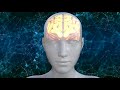 Biopsychology Concepts and Brain Functions