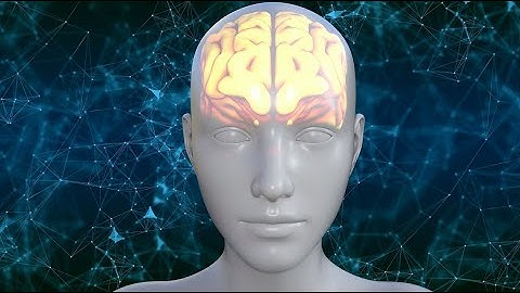 Introduction to Biopsychology