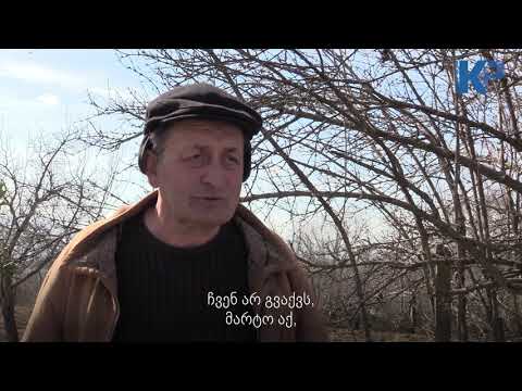 ,,მოქალაქის ხმა'' თერჯოლის მუნიციპალიტეტი სოფელი ტელეფა