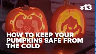How to keep your carved pumpkin looking fresh through Halloween