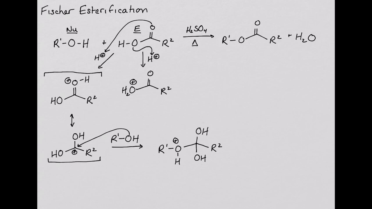 CHEM 222: Reactions of Alcohols: Fischer Esterification