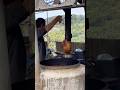 Old man in Taiwan 🇹🇼白河關仔嶺 甕仔雞 Chicken in a jar #taiwan #travel #food #explore #youtube #shorts