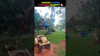 Ranking Top Funniest Chicken Screaming Moments On The Internet 🐔 | #shorts
