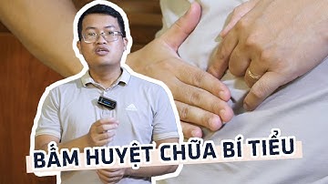Hướng dẫn bấm huyệt chữa bí tiểu