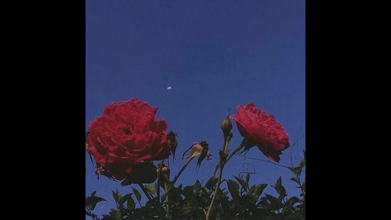 [FREE] Indie Rock x Wallows x Alternative Rock Type Beat - "Idle"