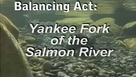 Balancing Act -- The Yankee Fork of the Salmon River