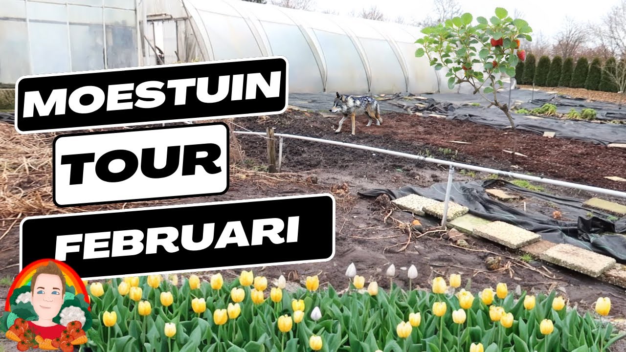Moestuin Tour in Februari | Moestuin vlog 163 | De moestuin in februari