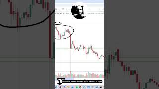 Black Swan &amp; Altcoin Season #memecoiny #krypto #bitcoin #altcoiny