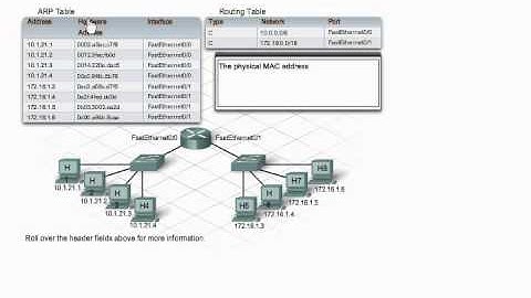 CCNA1 - ARP table vs. routing table