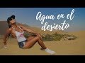 Este lugar es real - Huacachina el Oasis de América I Perú Vlog #2