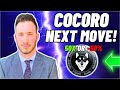 COCORO: CAN IT RECOVER?!?!