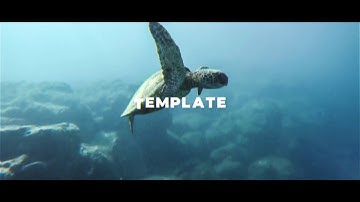 Stomp Intro| VideoHive Templates | After Effects Project Files