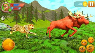 Wild Cheetah Family Simulator Cheetah Animal Games Android Gameplay #2 Dishoomgpyt screenshot 5