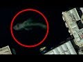 Mysterious Sea Creatures Spotted On Google Earth!