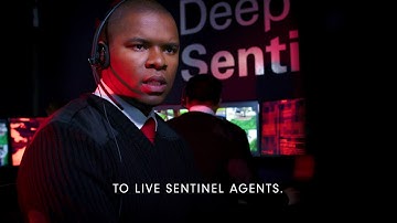How Deep Sentinel Works