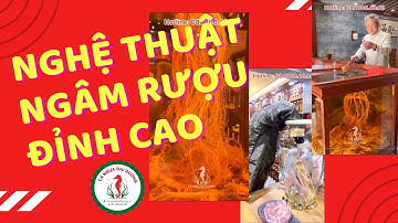 Đỉnh Cao Rượu Ngâm - Cá Ngựa Đại Dương - Bổ Thận Tráng Dương