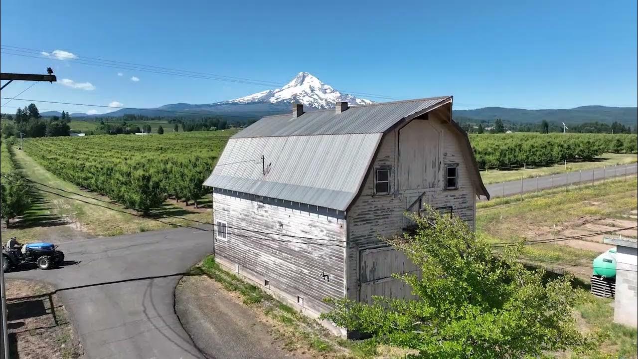 4590 Culbertson Dr. Property 51.32 Acre YouTube