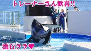 天才シャチララの頑張りにトレーナーさん大喜び 鴨川シーワールド シャチトレーニング Kamogawaseaworld Orca Killerwhale