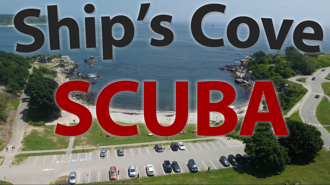 Drone's Eye View Exploring the Underwater World of Ship's Cove, Cape