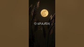 تلاوة من سورة فاطر بصوت القارئ علاء المزجاجي | THE NOBLE QUR'ÂN