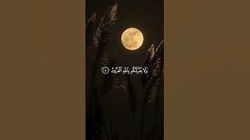 تلاوة من سورة فاطر بصوت القارئ علاء المزجاجي | THE NOBLE QUR'ÂN