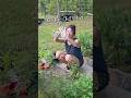 Come chit chat with me while I garden 👩🌾#chitchat #gardenchat #gardening #fy