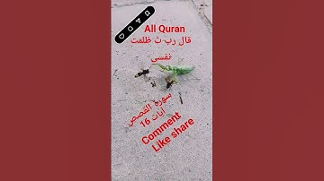 #القران_الكريم #تلاوه_خاشعه #قال رب انیی ظلمت نفسی #المصحف #الشيخ محمود الشحات #duet #foryou