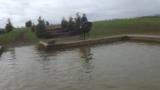 Oisin-Water