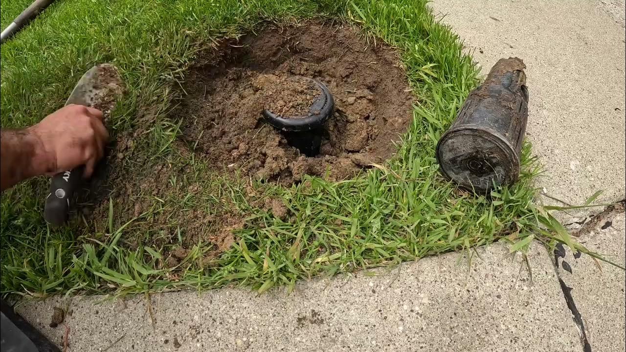 How to replace and adjust Rain Bird MaxiPaw YouTube