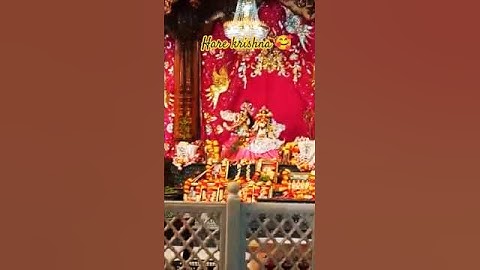 🥰Hare krishna 🧡 || Krishna status||Whatsapp Status #status #krishna #radhakrishna #krishnastatus
