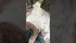 ⚠️ INUNDACIÓN ⚠️ EN FUNDACIÓN SANTUARIO GAIA