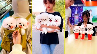 Funniest Cats and Dogs 😹🐶 Cute & Funny Animals 2024