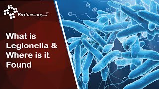 What Is Legionella And Where Is It Found