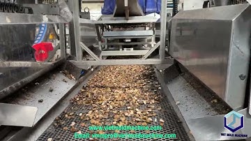 Cashew shelling machine